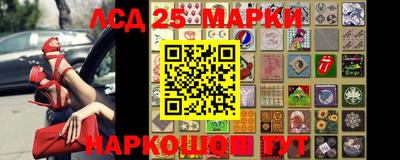 гидропоника Кунгур