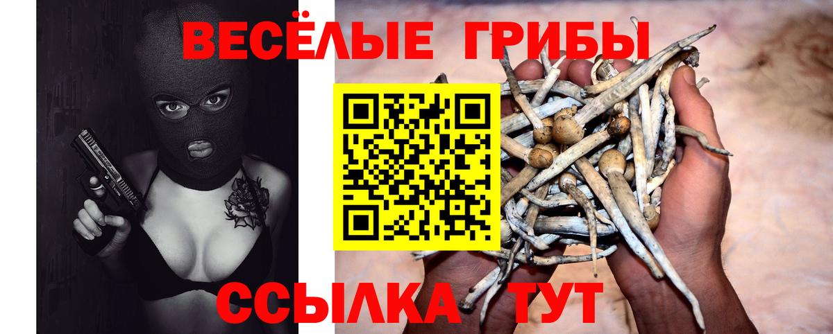 Псилоцибиновые грибы мухоморы Гагарин